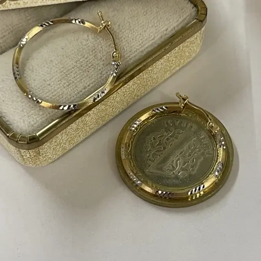 İki Renkli Halka Küpe